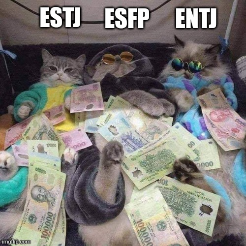 Being at the Top | ENTJ; ESTJ; ESFP | image tagged in rich cat,estj,entj,esfp,mbti,memes | made w/ Imgflip meme maker