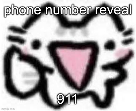 silly cat thumbs up (content aware scale) | phone number reveal; 911 | image tagged in silly cat thumbs up content aware scale | made w/ Imgflip meme maker