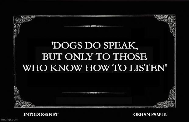 Dogs | 'DOGS DO SPEAK, BUT ONLY TO THOSE WHO KNOW HOW TO LISTEN'; INTODOGS.NET                                                                  ORHAN PAMUK | image tagged in silent movie card | made w/ Imgflip meme maker