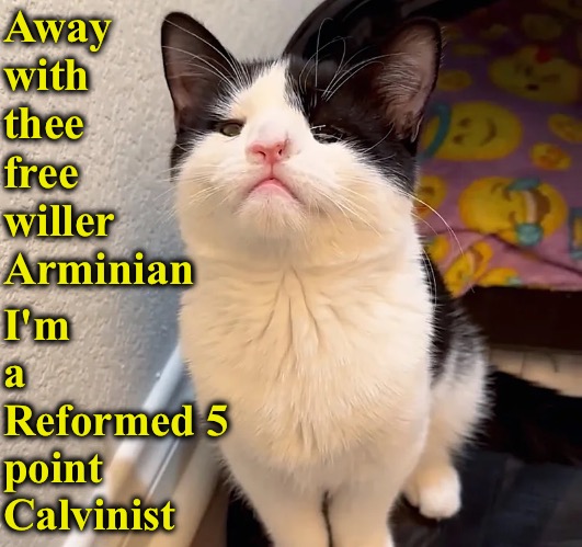 Away With Thee | Away with thee free willer Arminian; I'm a Reformed 5 point Calvinist | image tagged in calvinism,arminian,molinism,reformed theology 5 point calvinist,smug self righteous,royals and peasants | made w/ Imgflip meme maker