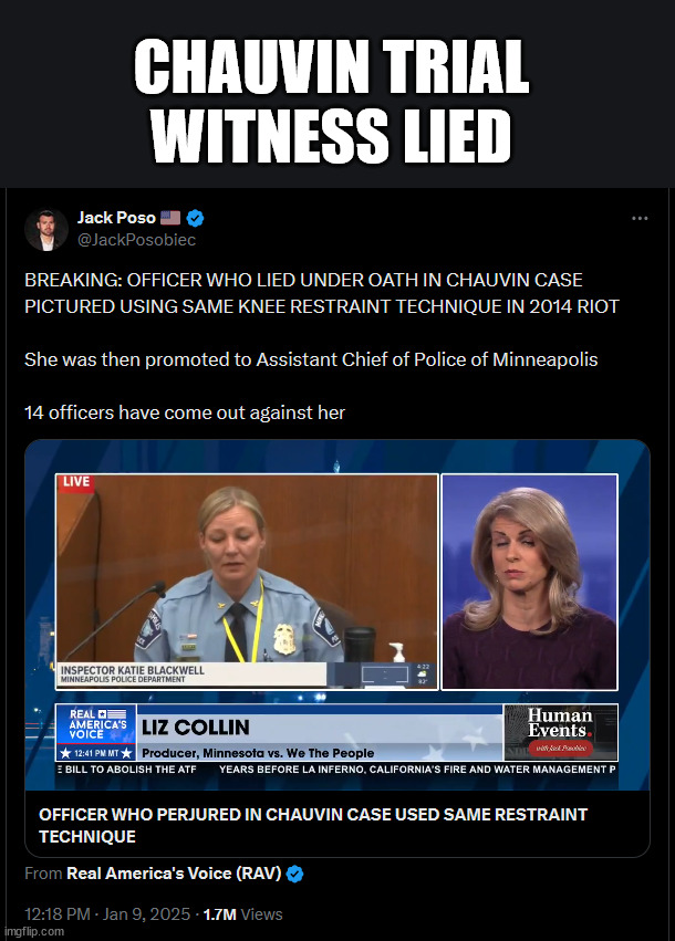 Chauvin trial witness lied | CHAUVIN TRIAL WITNESS LIED | image tagged in chauvin trial,witness lied | made w/ Imgflip meme maker