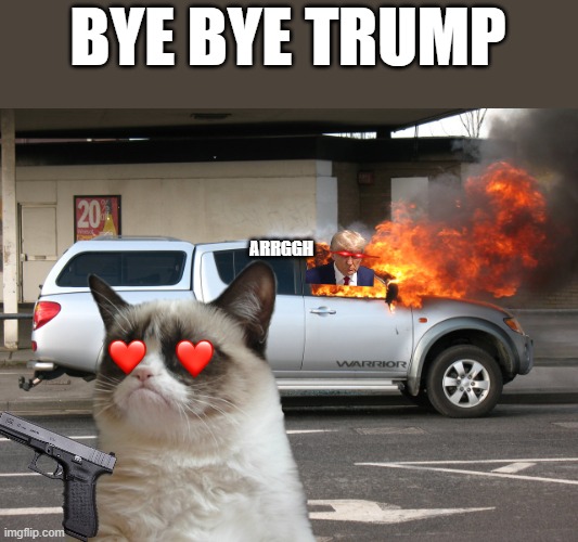 trump gets mad | BYE BYE TRUMP; ARRGGH | image tagged in grumpy cat | made w/ Imgflip meme maker