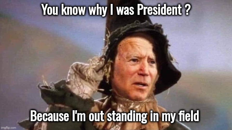 biden scarecrow | You know why I was President ? Because I'm out standing in my field | image tagged in biden scarecrow | made w/ Imgflip meme maker