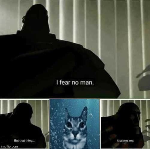 I fear no man. But that thing..it scares me | image tagged in i fear no man but that thing it scares me | made w/ Imgflip meme maker