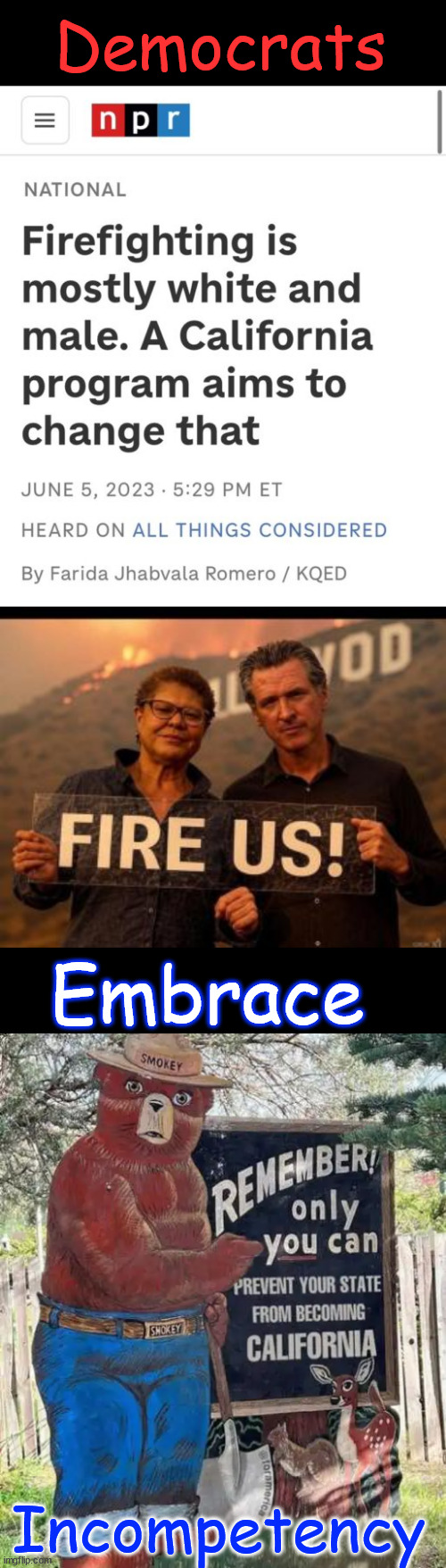 Democrats Embrace Incompetency | Democrats; Embrace; Incompetency | image tagged in dei,democrats embrace incompetency,do not be like california | made w/ Imgflip meme maker