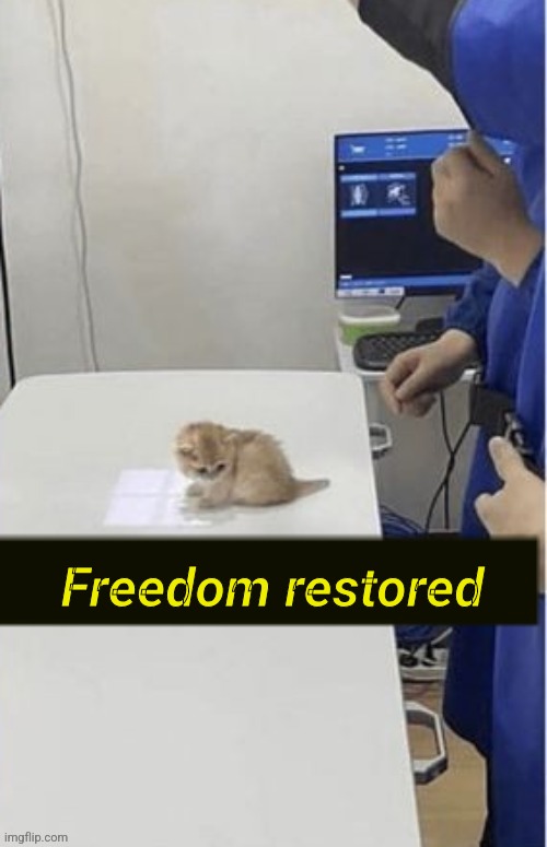 Freedom restored | made w/ Imgflip meme maker