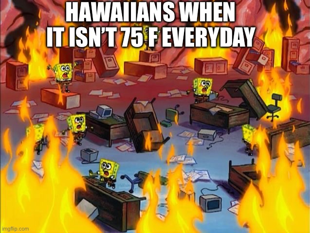 Real | HAWAIIANS WHEN IT ISN’T 75 F EVERYDAY | image tagged in spongebob fire,funny,lol so funny,hawaii | made w/ Imgflip meme maker