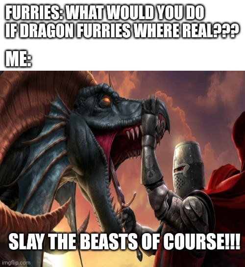 Virgin dragons vs Chad Templars: | FURRIES: WHAT WOULD YOU DO IF DRAGON FURRIES WHERE REAL??? ME:; SLAY THE BEASTS OF COURSE!!! | image tagged in anti furry,based,medieval | made w/ Imgflip meme maker