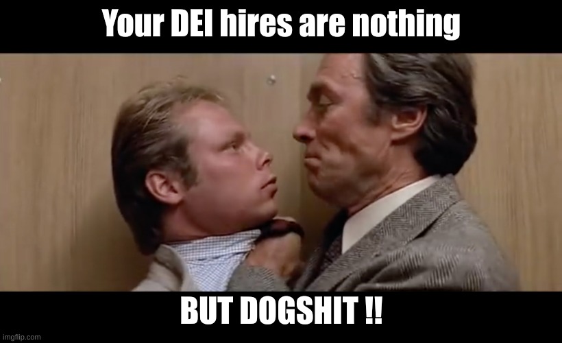 dirty harry sudden impact | Your DEI hires are nothing BUT DOGSHIT !! | image tagged in dirty harry sudden impact | made w/ Imgflip meme maker