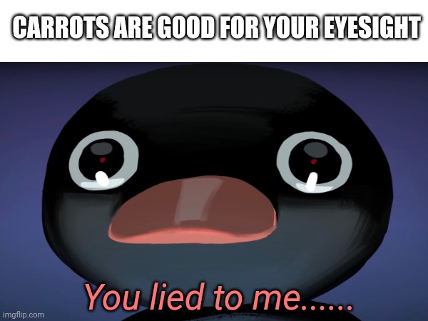 random memes | CARROTS ARE GOOD FOR YOUR EYESIGHT; You lied to me...... | image tagged in pingu stare,memes | made w/ Imgflip meme maker