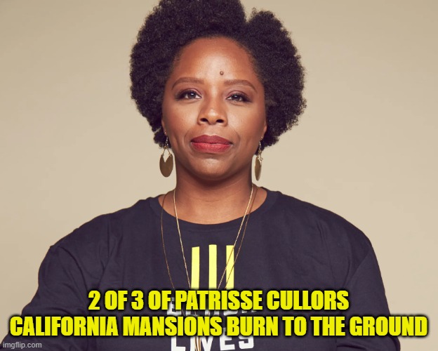 Hopefully uninsured | 2 OF 3 OF PATRISSE CULLORS CALIFORNIA MANSIONS BURN TO THE GROUND | image tagged in california,california fires,wildfires,maga,blm,black lives matter | made w/ Imgflip meme maker