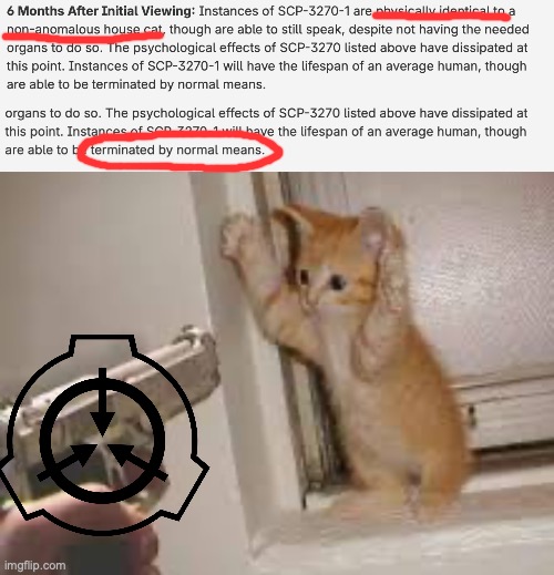 SCP 3270. | image tagged in cat,scp,guns,kittens,maybe i am a monster,why | made w/ Imgflip meme maker