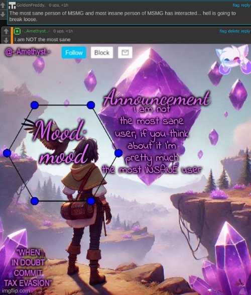 some real BULLSHIT I did in the past | I am not the most sane user, if you think about it I'm pretty much the most INSANE user; mood | image tagged in - amethyst - announcement template | made w/ Imgflip meme maker