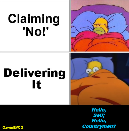 Hello, Self; Hello, Countrymen? | Claiming 

'No!'; Delivering 

It; Hello, 

Self; 

Hello, 

Countrymen? OzwinEVCG | image tagged in homer simpson sleeping,thoughts,words,actions,real talk,world occupied | made w/ Imgflip meme maker