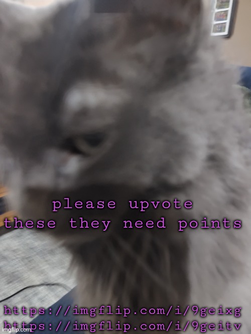 ㅤ | please upvote these they need points; https://imgflip.com/i/9geixg
https://imgflip.com/i/9geitv | image tagged in 32's cat | made w/ Imgflip meme maker