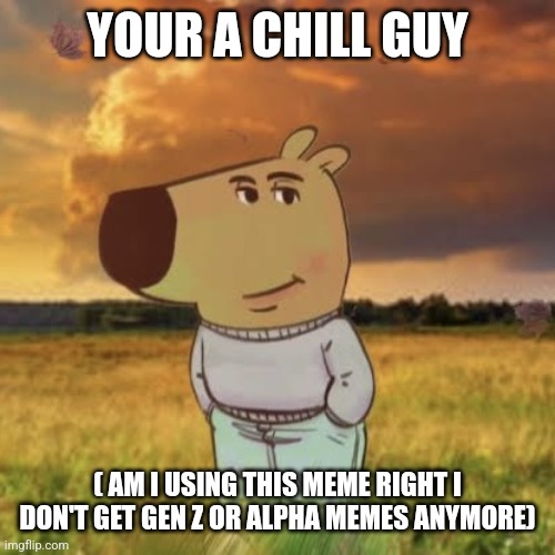 Chill guy | YOUR A CHILL GUY ( AM I USING THIS MEME RIGHT I DON'T GET GEN Z OR ALPHA MEMES ANYMORE) | image tagged in chill guy | made w/ Imgflip meme maker