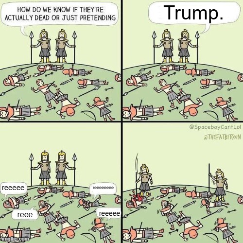 LOL | Trump. reeeee; reeeeeeee; reeeee; reee | image tagged in how do we know if they're actually dead,trump,tds,trump derangement syndrome | made w/ Imgflip meme maker