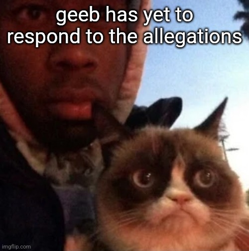 absolutely disgusting.. | geeb has yet to respond to the allegations | image tagged in tyler the creator and grumpy cat | made w/ Imgflip meme maker