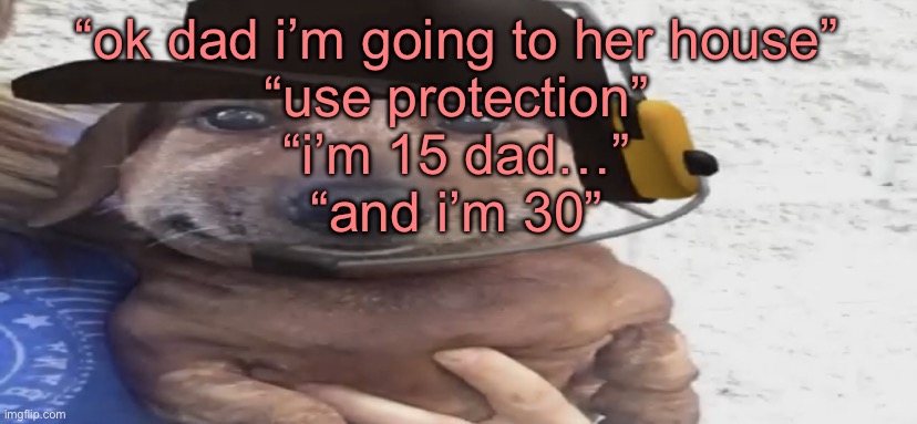 those who know skull emoji | “ok dad i’m going to her house”
“use protection”
“i’m 15 dad…”
“and i’m 30” | image tagged in chucklenuts | made w/ Imgflip meme maker