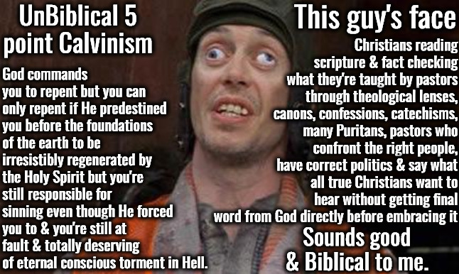 Too Many Christians Do This | This guy's face; UnBiblical 5 point Calvinism; Christians reading scripture & fact checking what they're taught by pastors through theological lenses, canons, confessions, catechisms, many Puritans, pastors who confront the right people, have correct politics & say what all true Christians want to hear without getting final word from God directly before embracing it; God commands you to repent but you can only repent if He predestined you before the foundations of the earth to be irresistibly regenerated by the Holy Spirit but you're still responsible for sinning even though He forced you to & you're still at fault & totally deserving of eternal conscious torment in Hell. Sounds good & Biblical to me. | image tagged in looks good to me,calvinism,arminian,molinism,you're in epic danger from wicked men,check everything directly with god | made w/ Imgflip meme maker
