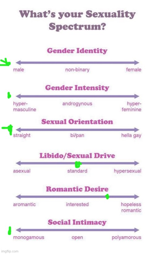 What's your sexuality spectrum? | image tagged in what's your sexuality spectrum | made w/ Imgflip meme maker