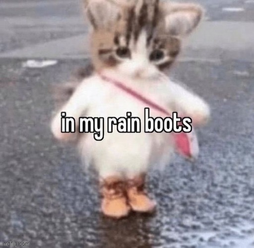 Nother new temp | image tagged in rain boots | made w/ Imgflip meme maker