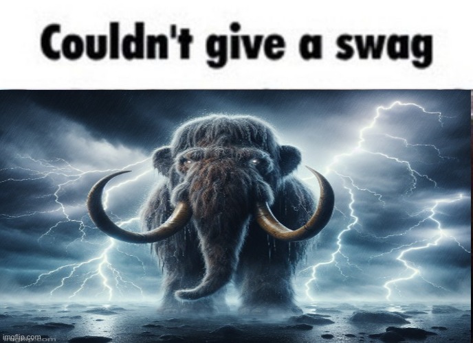 Couldn't give a swag | image tagged in couldn't give a swag | made w/ Imgflip meme maker