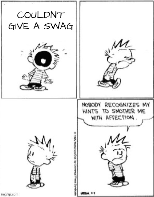 Nobody recognizes my hints to smother me with affection | COULDN’T GIVE A SWAG | image tagged in nobody recognizes my hints to smother me with affection | made w/ Imgflip meme maker