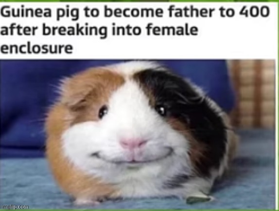 Wish I was him tbh | made w/ Imgflip meme maker