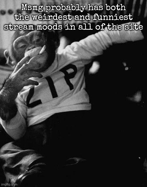 smoking monkey  | Msmg probably has both the weirdest and funniest stream moods in all of the site | image tagged in smoking monkey,msmg | made w/ Imgflip meme maker