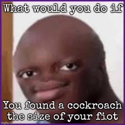 I’d take the flamethrower | What would you do if; You found a cockroach the size of your foot | image tagged in bald ksi,msmg | made w/ Imgflip meme maker