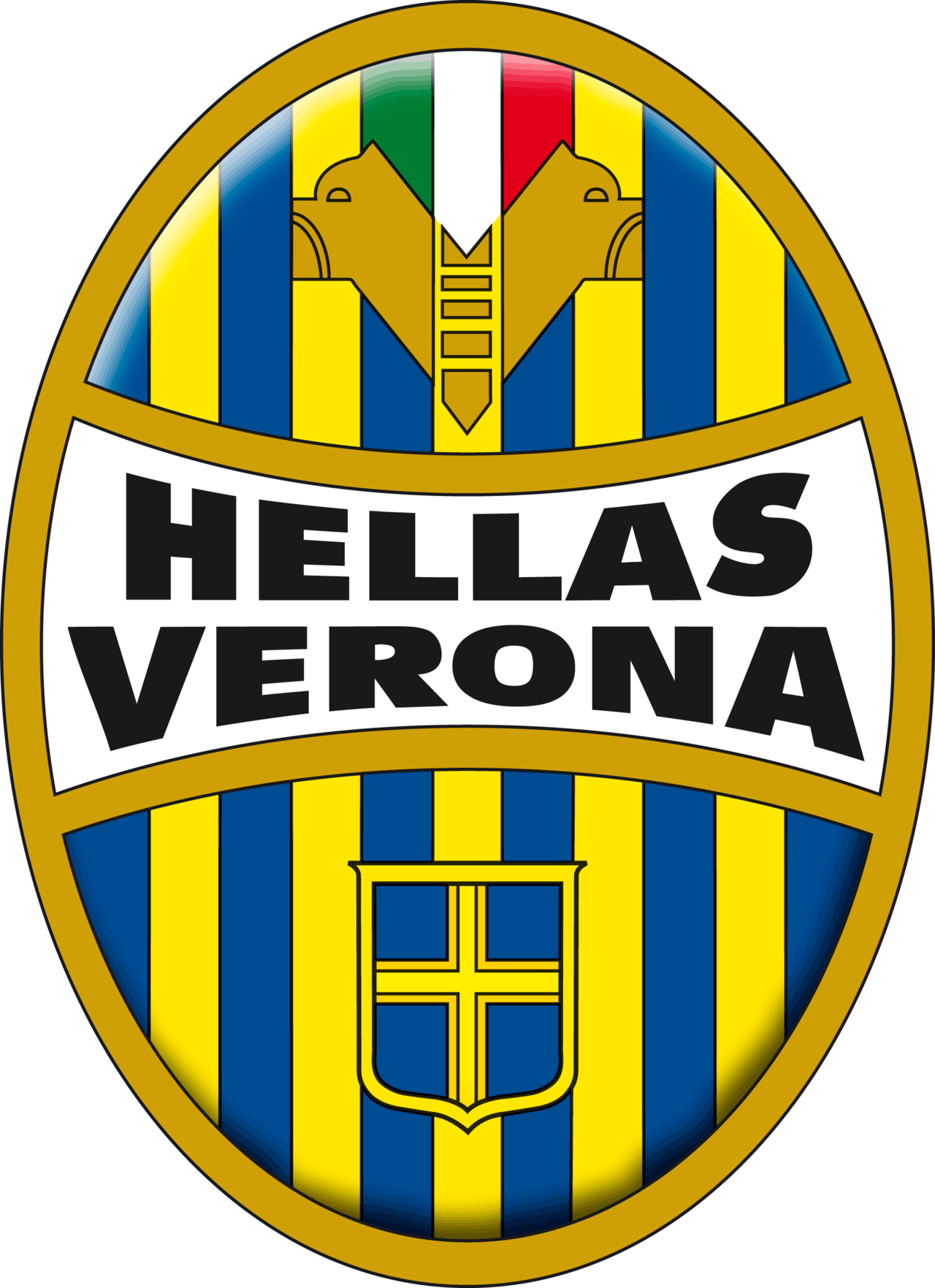 Hellas Verona Blank Meme Template