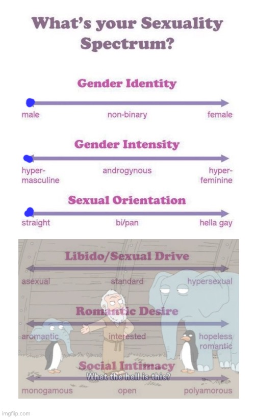 What's your sexuality spectrum? | image tagged in what's your sexuality spectrum,msmg | made w/ Imgflip meme maker