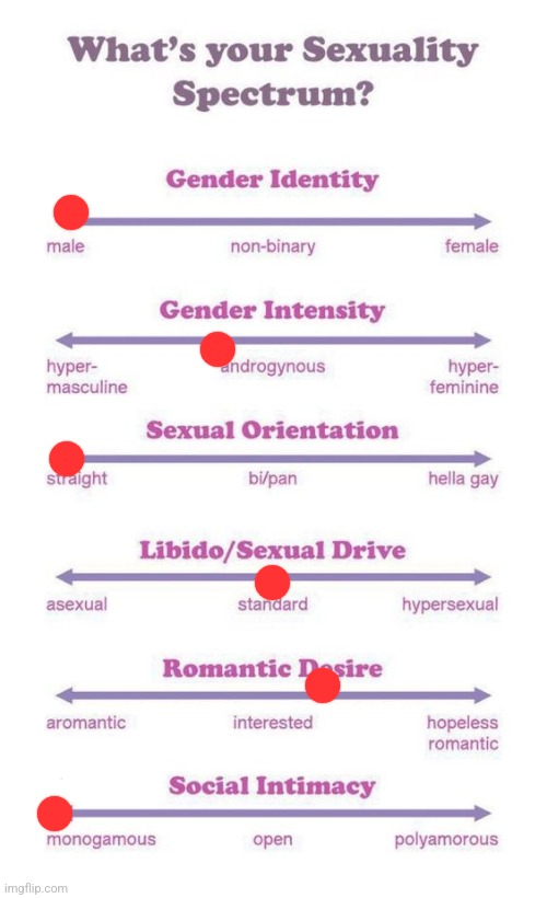 What's your sexuality spectrum? | image tagged in what's your sexuality spectrum | made w/ Imgflip meme maker