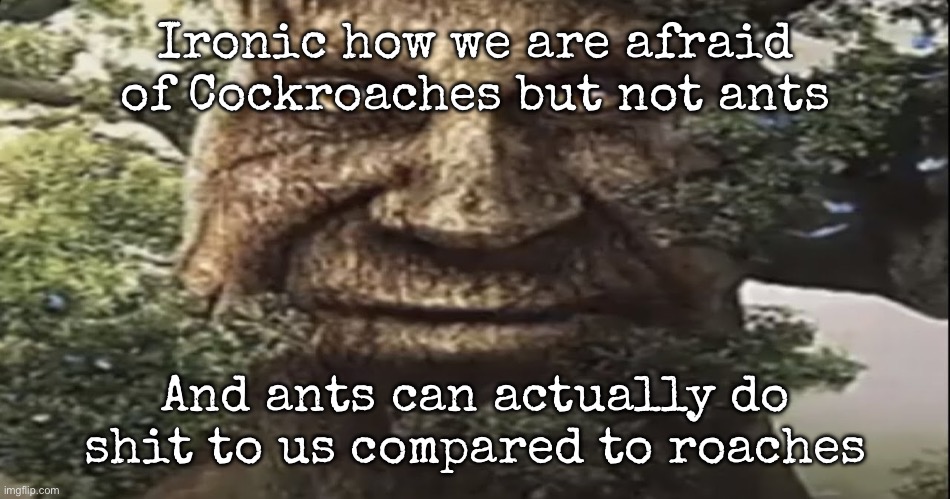 Wise mystical tree | Ironic how we are afraid of Cockroaches but not ants; And ants can actually do shit to us compared to roaches | image tagged in wise mystical tree,msmg | made w/ Imgflip meme maker