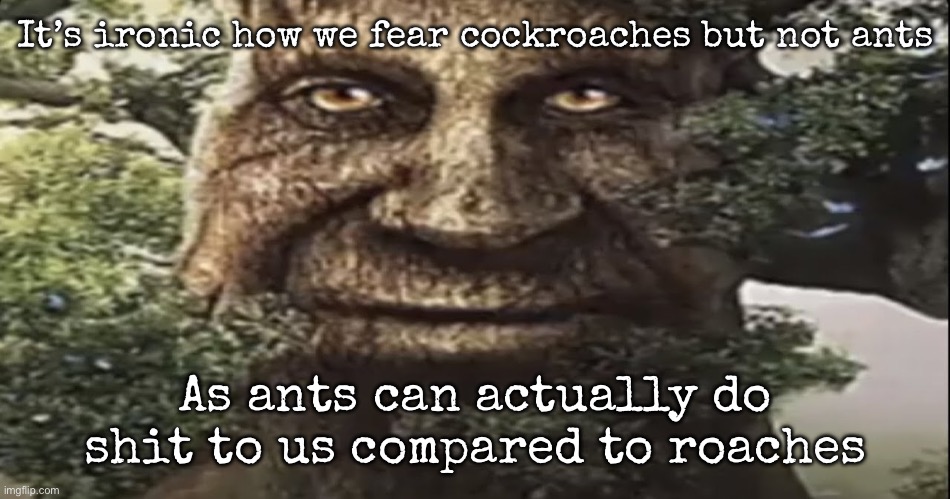 Wise mystical tree | It’s ironic how we fear cockroaches but not ants; As ants can actually do shit to us compared to roaches | image tagged in wise mystical tree,msmg | made w/ Imgflip meme maker