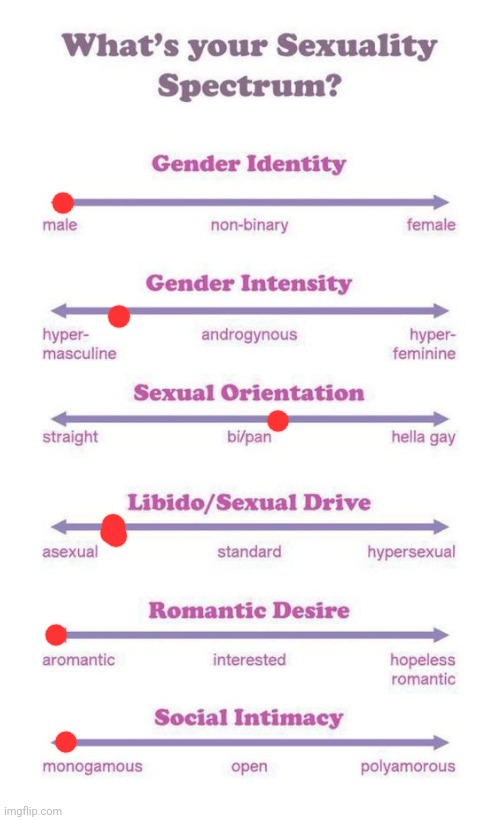 What's your sexuality spectrum? | image tagged in what's your sexuality spectrum | made w/ Imgflip meme maker