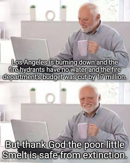 People's lives are destroyed and some have died. California's leaders purposely put people's lives in danger to save a fish. | Los Angeles is burning down and the fire hydrants have no water and the fire department's budget was cut by 17 million. But thank God the poor little Smelt is safe from extinction. | image tagged in memes,hide the pain harold,california fires | made w/ Imgflip meme maker