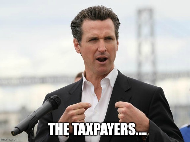 gavin newsome | THE TAXPAYERS.... | image tagged in gavin newsome | made w/ Imgflip meme maker