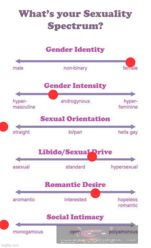 What's your sexuality spectrum? | image tagged in what's your sexuality spectrum | made w/ Imgflip meme maker