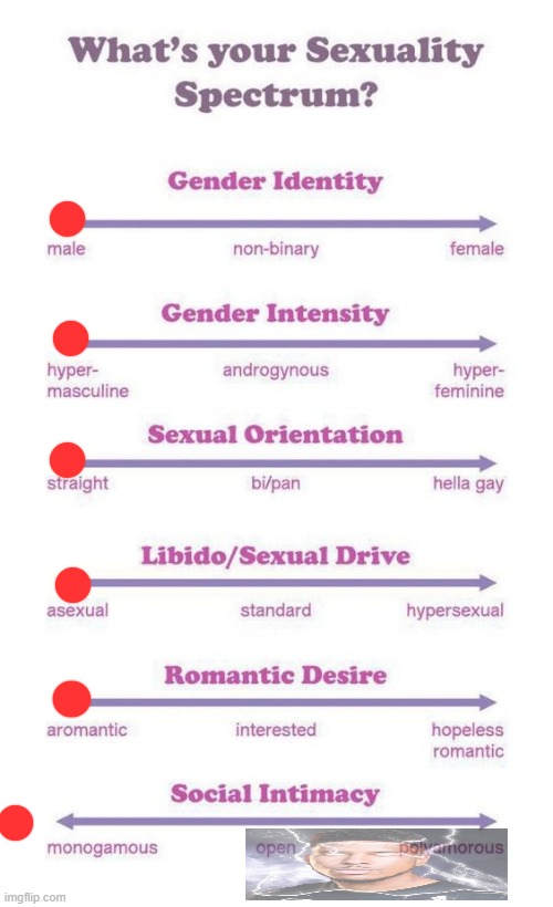 What's your sexuality spectrum? | image tagged in what's your sexuality spectrum | made w/ Imgflip meme maker