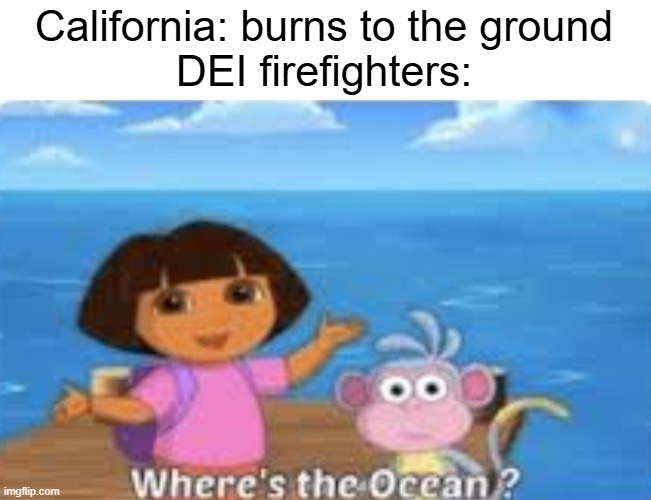 DEI: Didn't Extinguish It | California: burns to the ground
DEI firefighters: | image tagged in dora dumdum | made w/ Imgflip meme maker