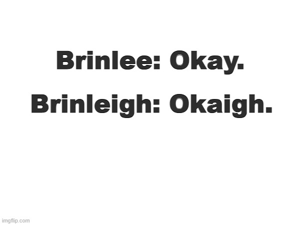 Brinlee: Okay. Brinleigh: Okaigh. | image tagged in stupid | made w/ Imgflip meme maker