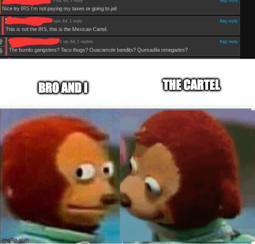 haha | THE CARTEL; BRO AND I | image tagged in lol,ioi | made w/ Imgflip meme maker