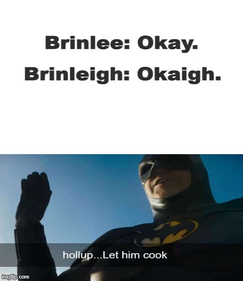 image tagged in let him cook | made w/ Imgflip meme maker