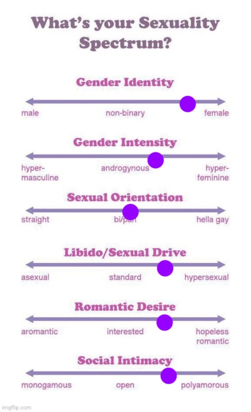 Yehhh | image tagged in what's your sexuality spectrum | made w/ Imgflip meme maker