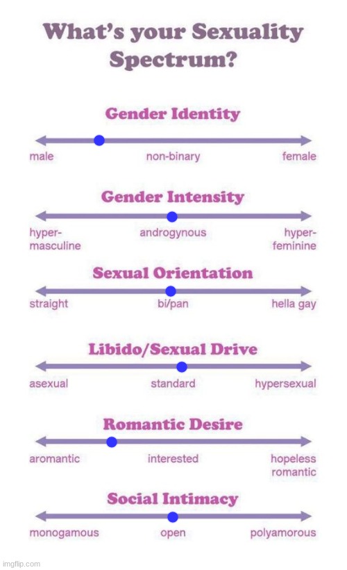 every1 else is doing it so I am 2 | image tagged in what's your sexuality spectrum | made w/ Imgflip meme maker