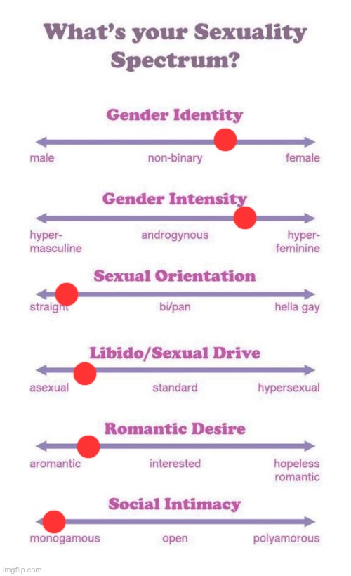 Idk what the last one means | image tagged in what's your sexuality spectrum | made w/ Imgflip meme maker