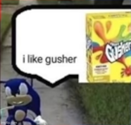 gushe :p | image tagged in sonic i like gusher | made w/ Imgflip meme maker