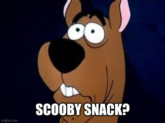 Scooby Doo Surprised | SCOOBY SNACK? | image tagged in scooby doo surprised | made w/ Imgflip meme maker